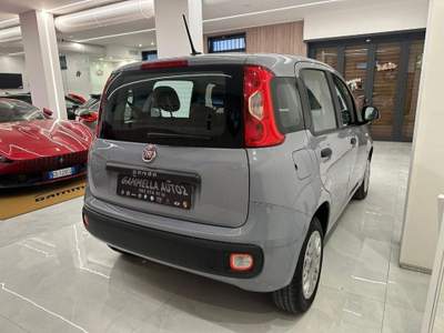 Fiat Panda 1.2 Easy Grigio usata San Sebastiano al Vesuvio