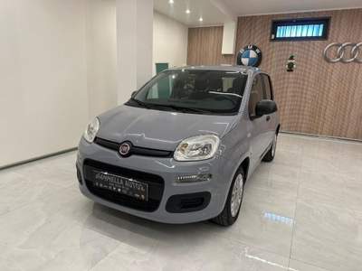 Fiat Panda 1.2 Easy Grigio usata San Sebastiano al Vesuvio
