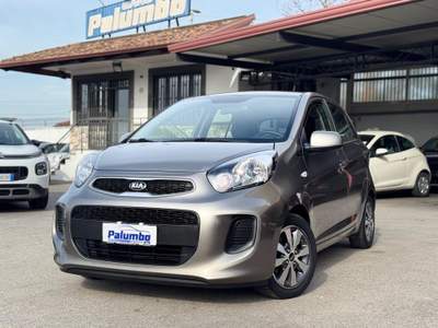 Kia Picanto 1.0 12V EcoGPL 5 porte Glam Grigio usata Qualiano
