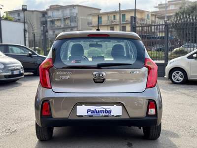 Kia Picanto 1.0 12V EcoGPL 5 porte Glam Grigio usata Qualiano