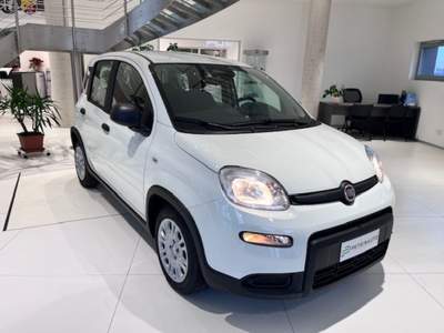 Fiat Panda 1.0 FireFly S&S Hybrid Pack City+Kit 5p Km.0 Bianco usata Massanzago