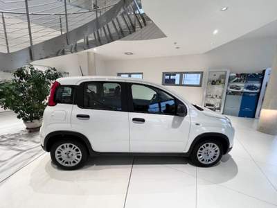 Fiat Panda 1.0 FireFly S&S Hybrid Pack City+Kit 5p Km.0 Bianco usata Massanzago