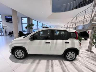 Fiat Panda 1.0 FireFly S&S Hybrid Pack City+Kit 5p Km.0 Bianco usata Massanzago
