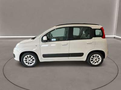 Fiat Panda 3ª serie -  1.3 MJT S&S Lounge Beige usata Caltanissetta
