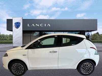 Lancia Ypsilon 1.0 FireFly 5 porte S&S Hybrid Platino Bianco usata Bologna