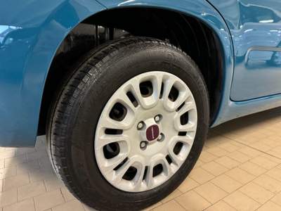 Fiat Panda 1.2 Easy Neopatentati Blu/Azzurro usata Bassano del Grappa