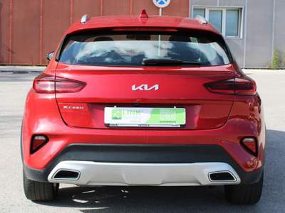Kia XCeed 1.6 CRDi 136 CV MHEV iMT Evolution Rosso usata Potenza
