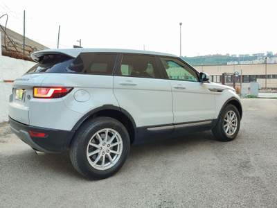 Land Rover Range Rover Evoque 2.0 TD4 150 CV 5p. Business Edition Pure Bianco usata Agrigento