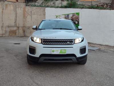 Land Rover Range Rover Evoque 2.0 TD4 150 CV 5p. Business Edition Pure Bianco usata Agrigento
