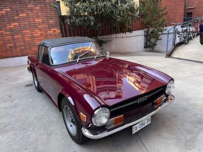 Triumph TR6 p1 2.5 6 cilindri iscritto ASI Lilla usata Torino Triumph TR6 p1 2.5 6 cilindri iscritto ASI Lilla usata Torino