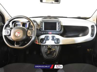 Fiat Panda 1.0 firefly hybrid City Life s&amp;s 70cv 5p.ti Grigio usata Perignano