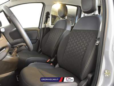 Fiat Panda 1.0 firefly hybrid City Life s&amp;s 70cv 5p.ti Grigio usata Perignano