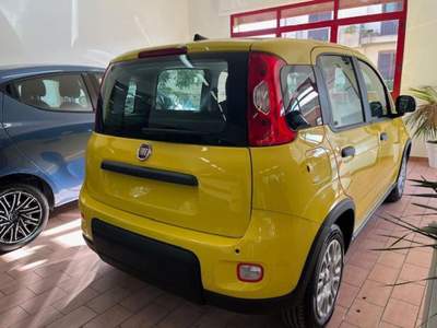 Fiat Panda 1.0 FireFly S&S Hybrid Pandina Giallo usata Marsala
