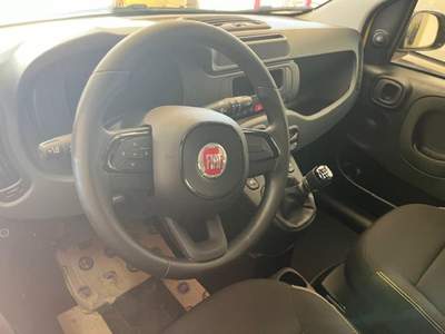 Fiat Panda 1.0 FireFly S&S Hybrid Pandina Giallo usata Marsala
