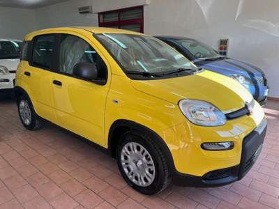 Fiat Panda 1.0 FireFly S&S Hybrid Pandina Giallo usata Marsala