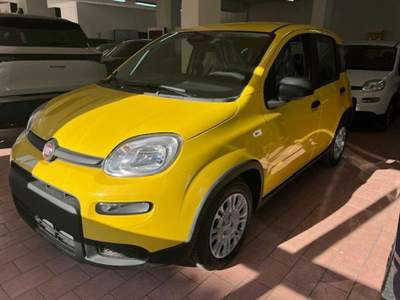 Fiat Panda 1.0 FireFly S&S Hybrid Pandina Giallo usata Marsala