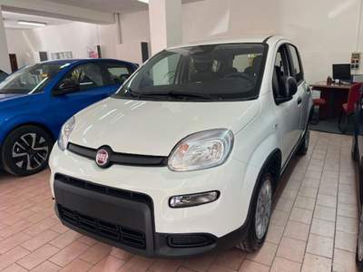 Fiat Panda 1.0 FireFly S&S Hybrid Pandina Bianco usata Marsala