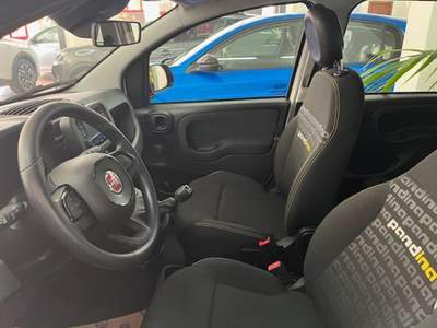 Fiat Panda 1.0 FireFly S&S Hybrid Pandina Bianco usata Marsala
