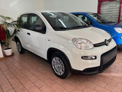 Fiat Panda 1.0 FireFly S&S Hybrid Pandina Bianco usata Marsala