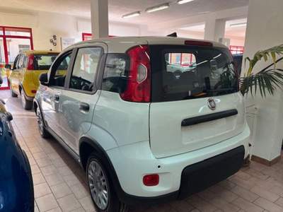 Fiat Panda 1.0 FireFly S&S Hybrid Pandina Bianco usata Marsala