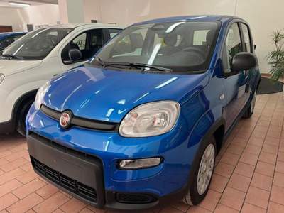 Fiat Panda 1.0 FireFly S&S Hybrid Pandina Blu/Azzurro usata Marsala