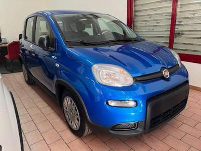 Fiat Panda 1.0 FireFly S&S Hybrid Pandina Blu/Azzurro usata Marsala