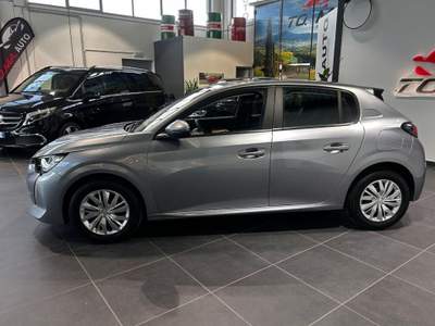 Peugeot 208 BlueHDi 100 Stop&Start 5 porte Active Grigio usata Città della Pieve