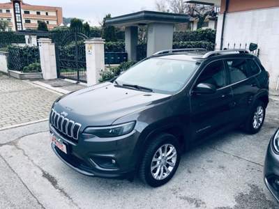 Jeep Cherokee 2.2 Mjt AWD Active Drive I Business Grigio usata Isernia