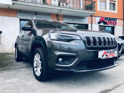 Jeep Cherokee 2.2 Mjt AWD Active Drive I Business Grigio usata Isernia