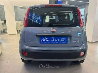 Fiat Panda 1.0 firefly hybrid s&s 70cv 5p.ti usata Licata