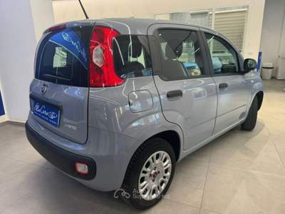 Fiat Panda 1.0 firefly hybrid s&s 70cv 5p.ti usata Licata