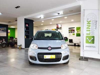 Fiat Panda 1.2 Lounge NEOPATENTATI VENDUTA Grigio usata Amantea CS