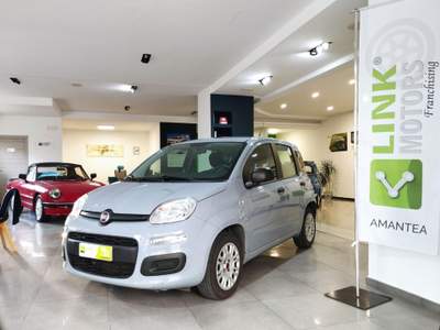 Fiat Panda 1.2 Lounge NEOPATENTATI VENDUTA Grigio usata Amantea CS