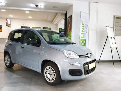Fiat Panda 1.2 Lounge NEOPATENTATI VENDUTA Grigio usata Amantea CS
