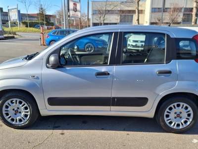 Fiat Panda 1.2 EasyPower Easy PERMUTE UNICOPRO. OK NEOPAT. Argento usata Parma