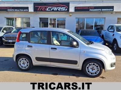 Fiat Panda 1.2 EasyPower Easy PERMUTE UNICOPRO. OK NEOPAT. Argento usata Parma