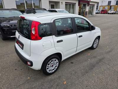 Fiat Panda 1.3 MJT NEOPATENTATI PERMUTE EURO 6 Bianco usata Parma