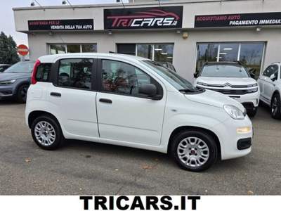 Fiat Panda 1.3 MJT NEOPATENTATI PERMUTE EURO 6 Bianco usata Parma