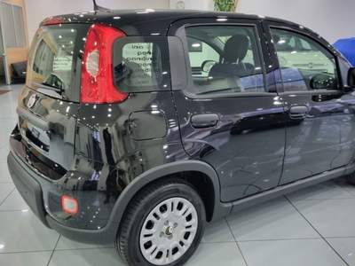 Fiat Panda 1.0 FireFly S&S Hybrid Pandina Nero usata Trento