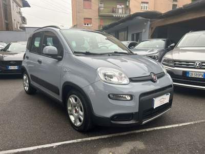 Fiat Panda 1.0 FireFly S&S Hybrid City Life * PREZZO PROMO * Grigio usata Cinisello Balsamo