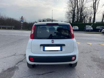 Fiat Panda III 1.2 8V Lounge NEOPATENTATI UNICOPROP. Bianco usata PAVIA DI UDINE
