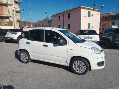 Fiat Panda 1.2 Easy - UNICOPROPRIETARIO - IVA DETRAIBILE Bianco usata Genova