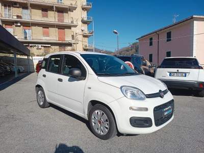 Fiat Panda 1.2 Easy - UNICOPROPRIETARIO - IVA DETRAIBILE Bianco usata Genova