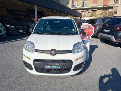 Fiat Panda 1.2 Easy - UNICOPROPRIETARIO - IVA DETRAIBILE Bianco usata Genova