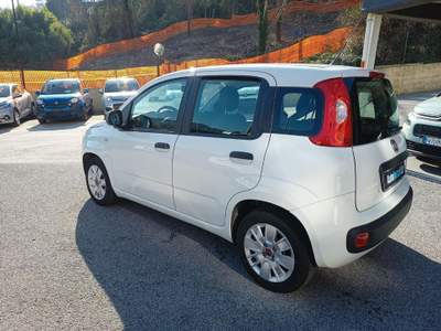 Fiat Panda 1.2 Easy - UNICOPROPRIETARIO - IVA DETRAIBILE Bianco usata Genova