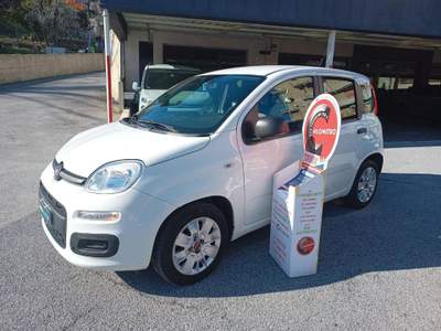 Fiat Panda 1.2 Easy - UNICOPROPRIETARIO - IVA DETRAIBILE Bianco usata Genova