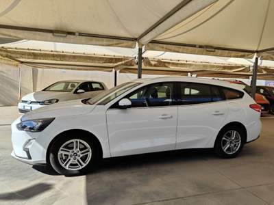 Ford Focus 1.5 EcoBlue 120 CV SW Business Bianco usata Scorrano