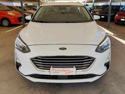 Ford Focus 1.5 EcoBlue 120 CV SW Business Bianco usata Scorrano