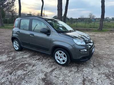 Fiat Panda 1.0 FireFly S&S Hybrid City Life Grigio usata Bracciano