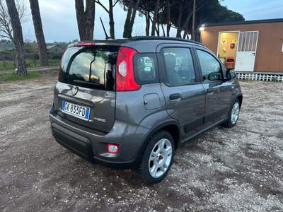Fiat Panda 1.0 FireFly S&S Hybrid City Life Grigio usata Bracciano